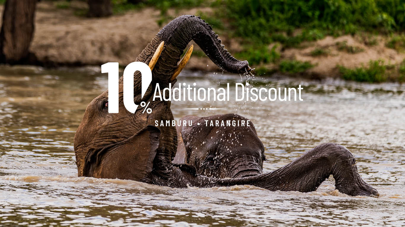 10AdditionalDiscount Tarangire Samburu