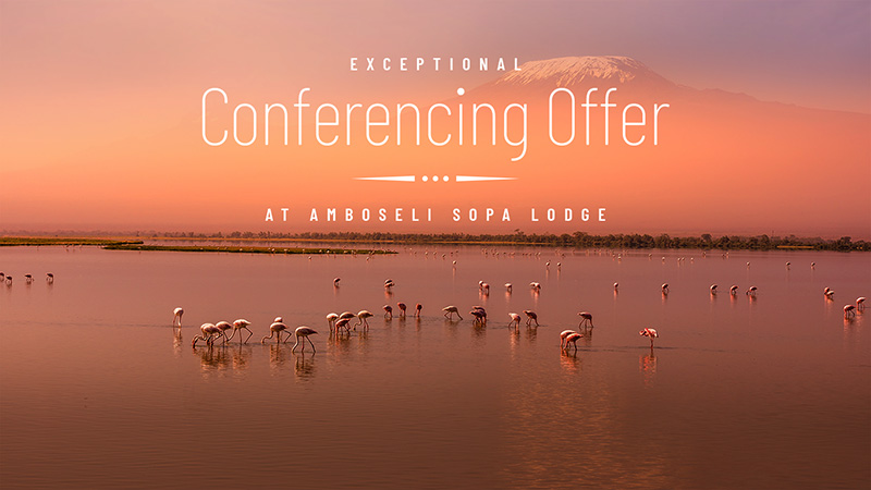 ASL Conferencing Offer banner